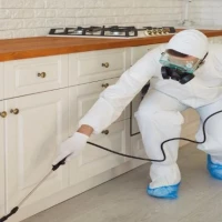 Odour Removal Services 1